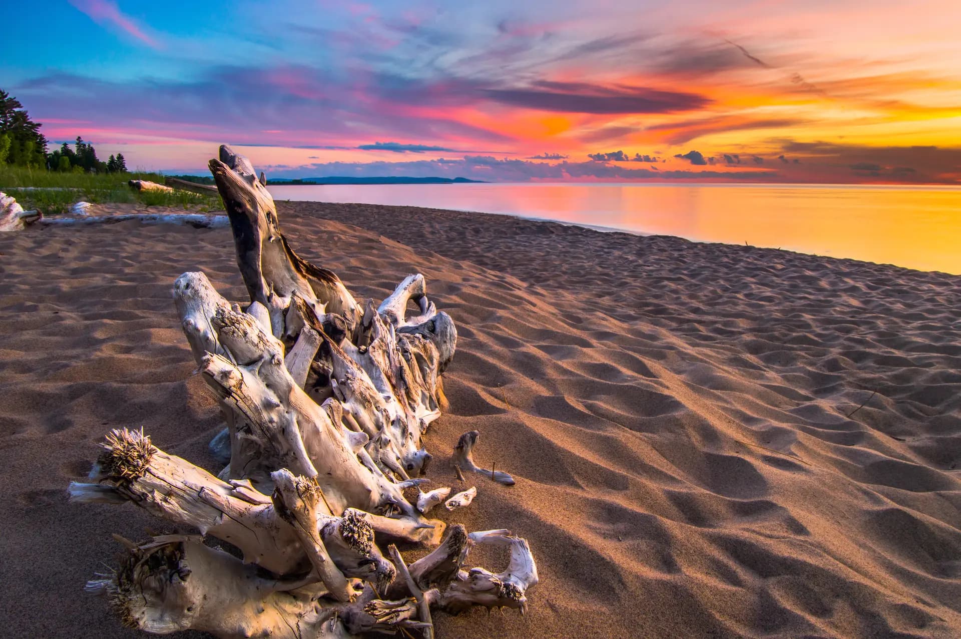 sunset along the beach with drift wood, high res